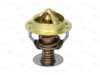 THERMOTEC D2CU001TT Thermostat, coolant